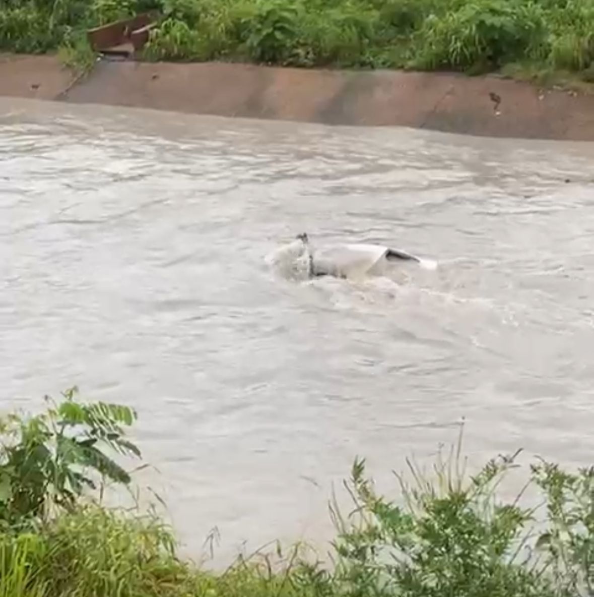 Vítimas de carro de que caiu no igarapé do 40 são identificadas