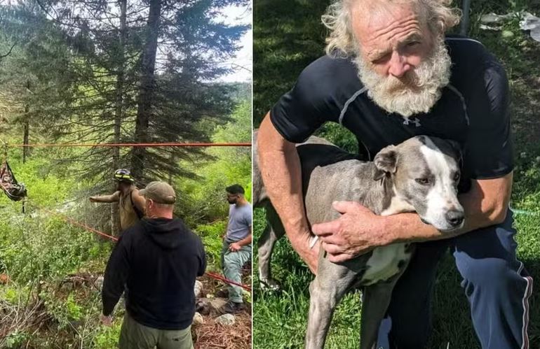Homem é salvo após cachorro correr 6 quilômetros para buscar ajuda