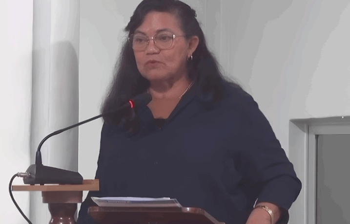 Câmara de Borba arquiva pedido de cassação contra vereadora que defendeu "violência contra mulher"