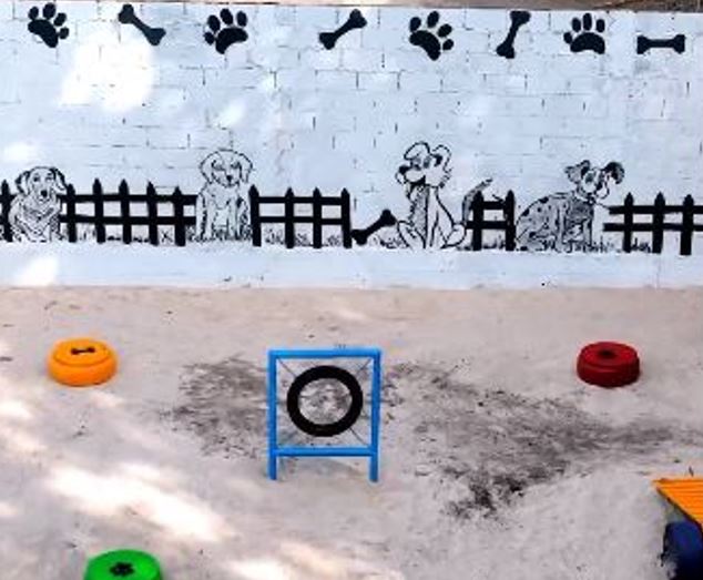 Primeira 'Praça Pet' de Manaus será entregue na quinta-feira