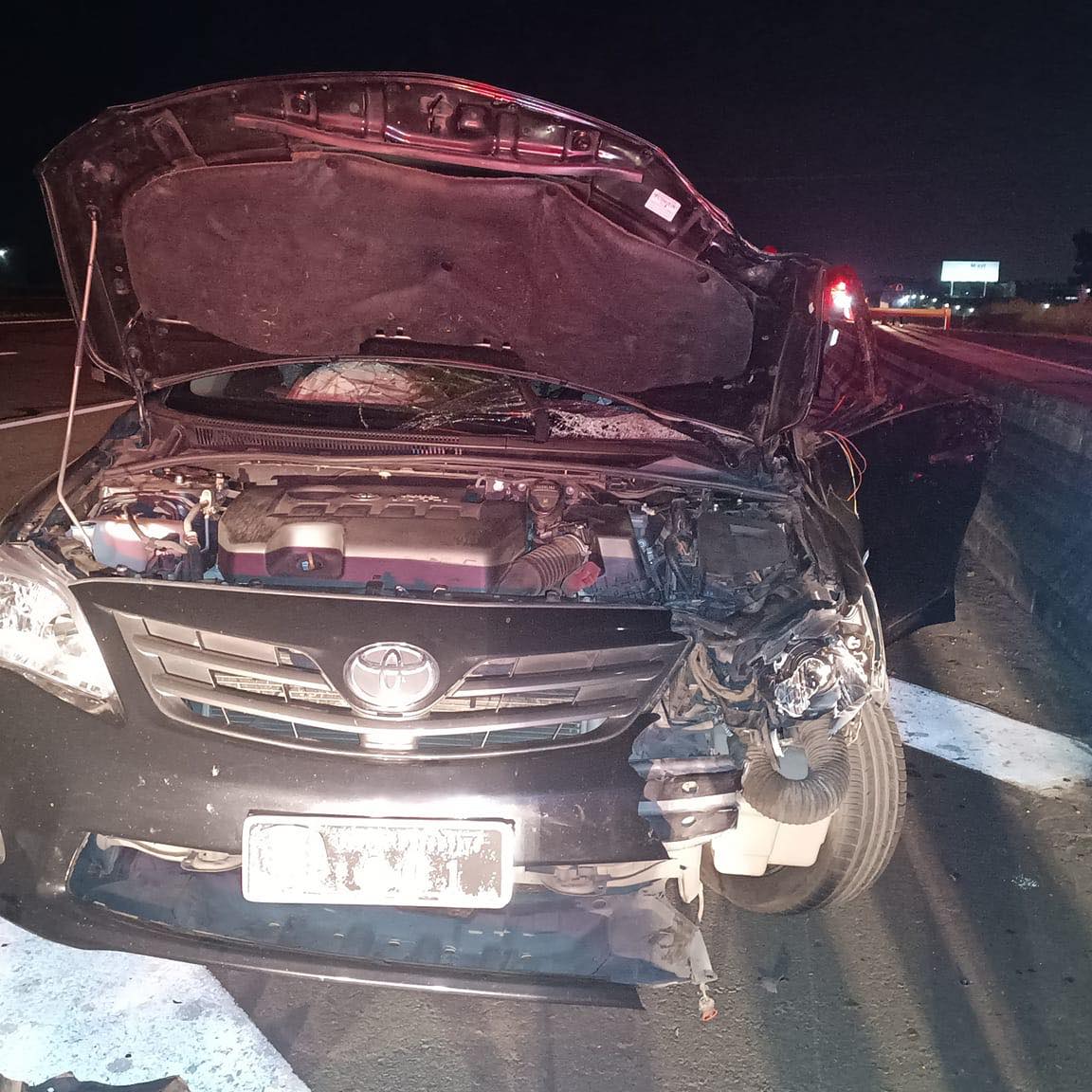 Secretário morre e prefeito fica em estado grave após carro atropelar cavalo