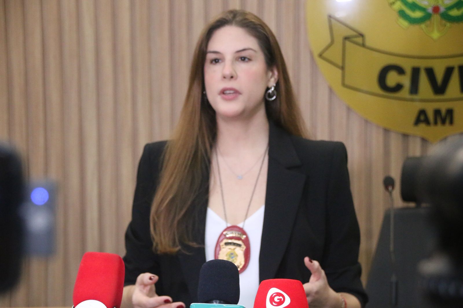 Homem que queimou mulher com panela quente tem 8 B.Os por crimes contra mulheres