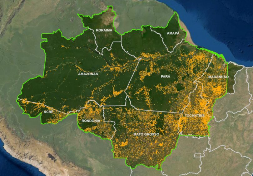 Inteligência artificial aponta risco maior de devastação na Amazônia em 2025