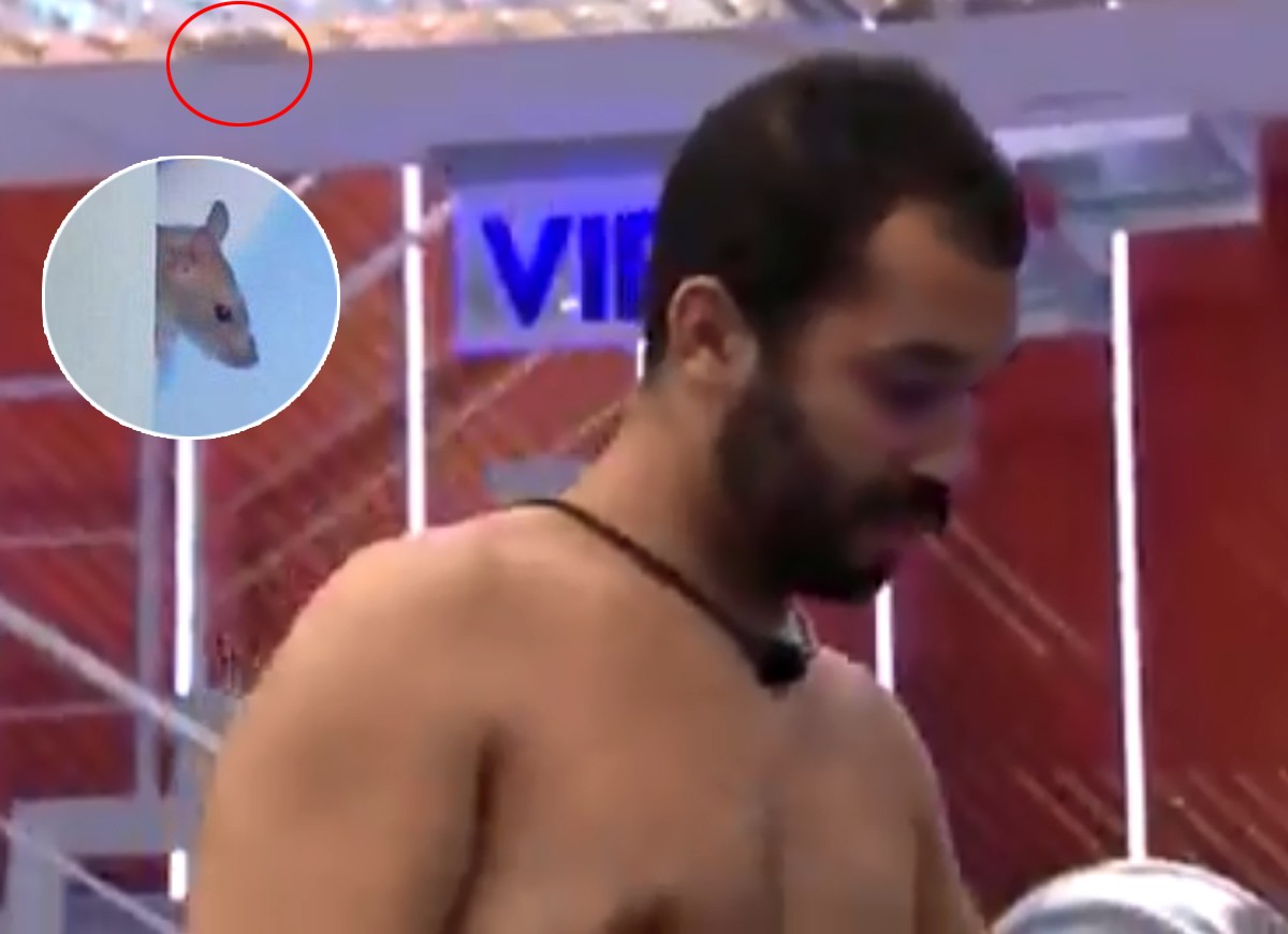 Genilson, é você? Internautas reencontram rato no BBB21; veja memes e vídeo