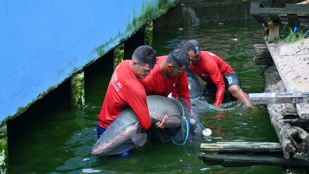 Morador do Parque 10 volta a ser multado por manter animais em cativeiro sem licença