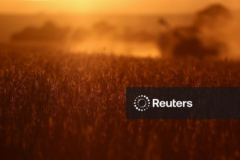 China não importa soja dos EUA pelo segundo mês consecutivo, importações do Brasil aumentam 29%