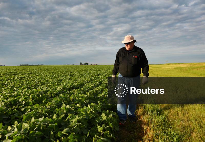 China amplia compras de soja dos EUA com pelo menos mais quatro cargas