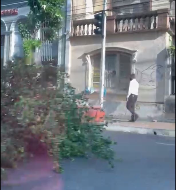 Árvore tomba e compromete trânsito no centro de Manaus 