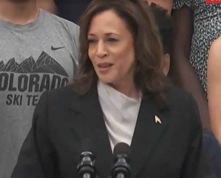 Kamala Harris faz 1º discurso e enaltece presidente Joe Biden: "incomparável"