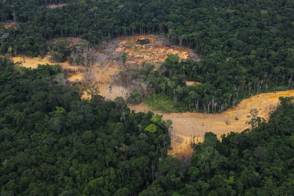 MPF investiga troca de doses da vacina da Covid para índios por ouro ilegal