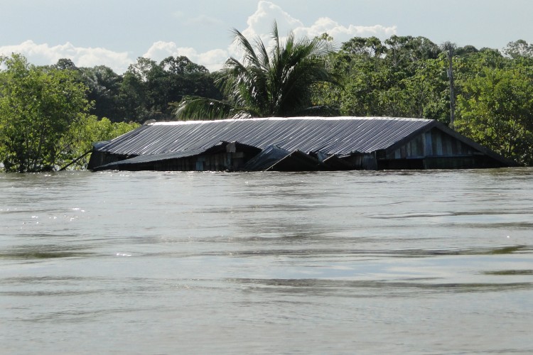 Subida dos Rios Negro e Solimões está acima do normal para o período