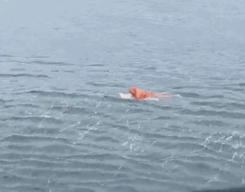 Pescador é resgatado após passar 17 horas à deriva agarrado à porta de geladeira em SC