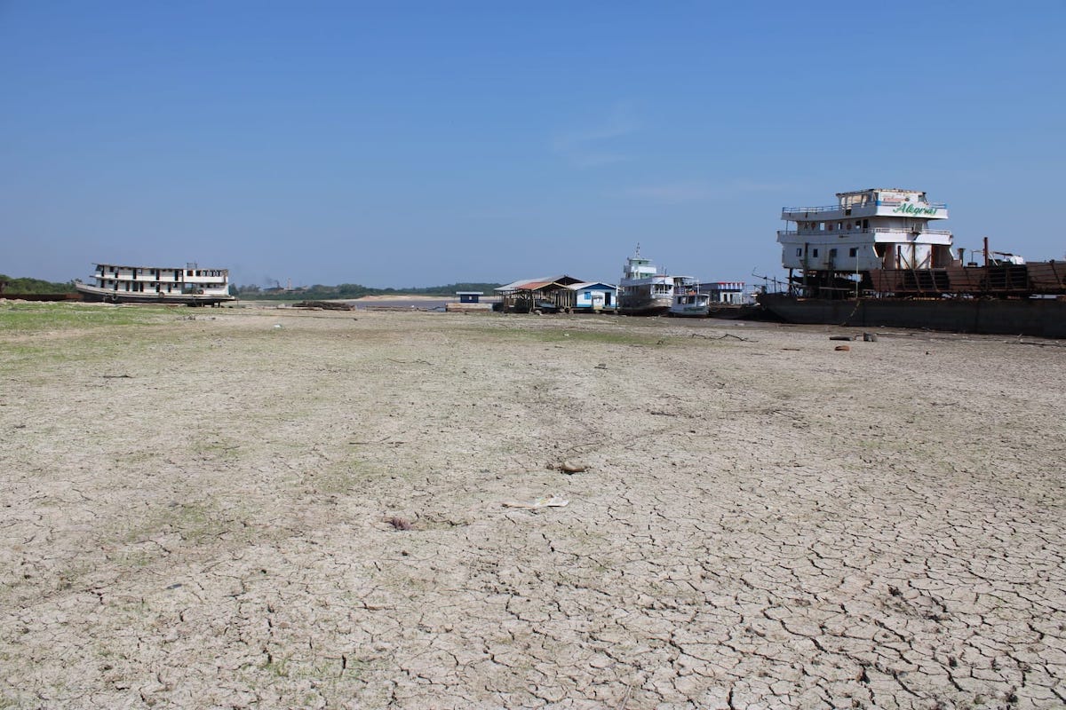 Governo anuncia que 50 municípios estão em situação de emergência devido à seca no Amazonas