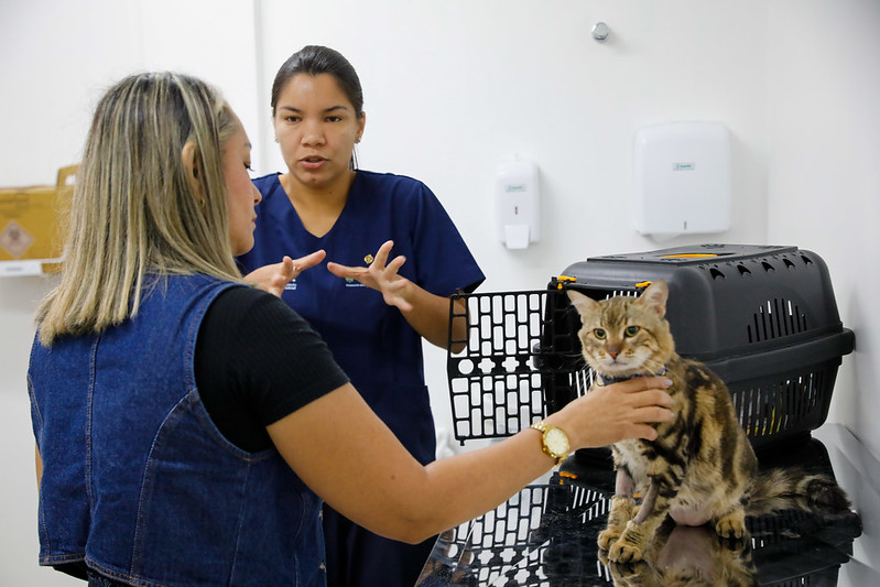 Hospital Veterinário do Amazonas distribui senhas diariamente; veja como funciona