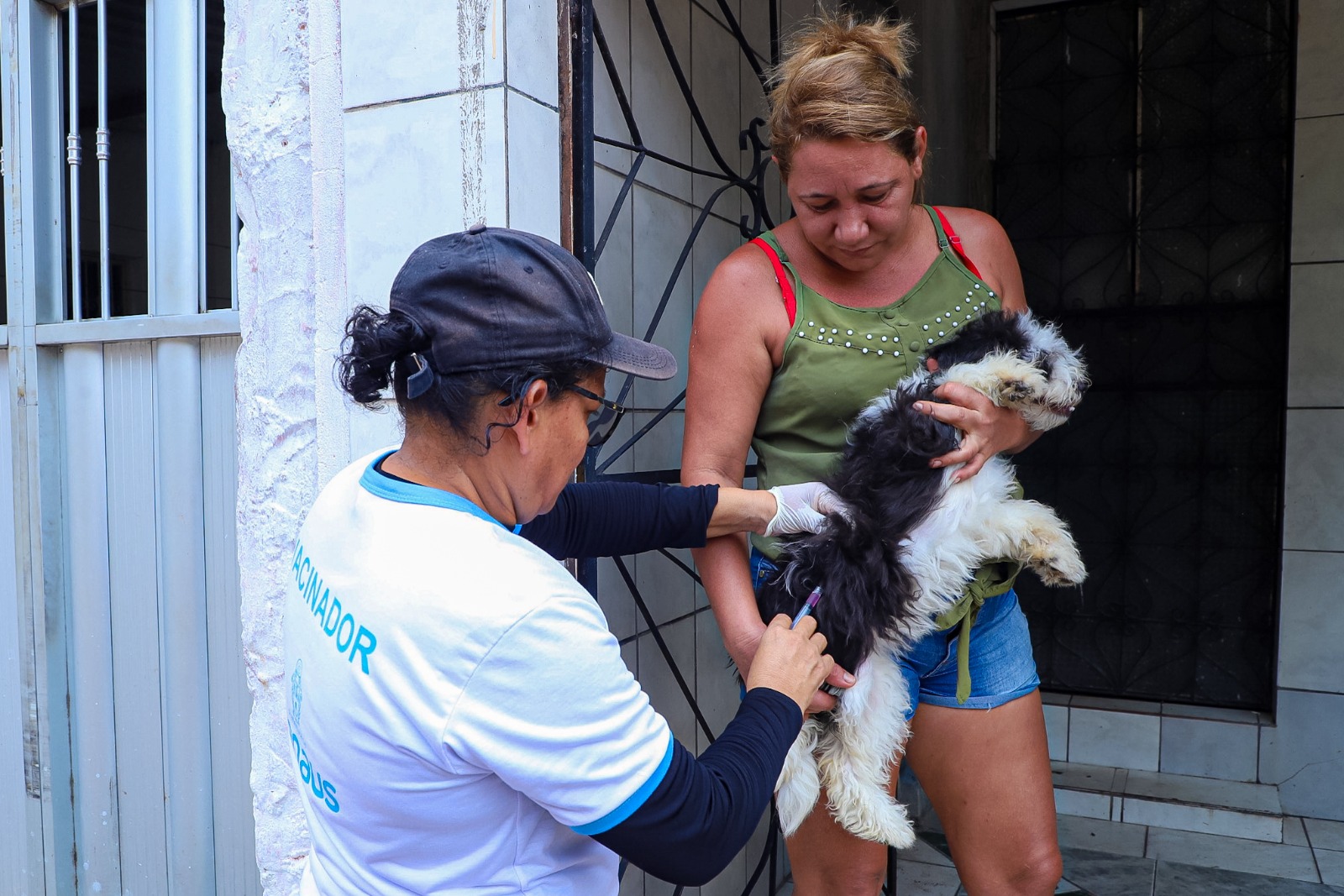 Campanha de vacinação antirrábica vai atuar em 13 bairros de Manaus nesta semana; confira