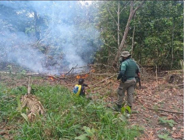Homem é preso ao ser flagrado incendiando mata na BR-319