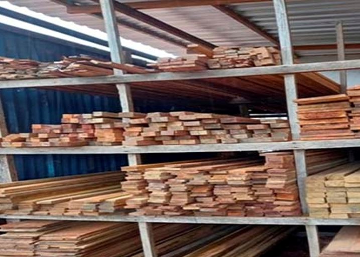 Empresário é preso ao ser flagrado com depósito clandestino de madeira no Amazonas