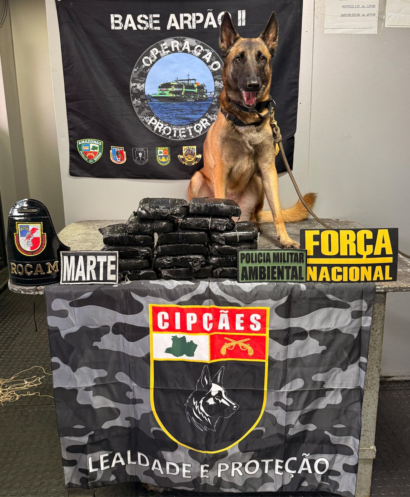 Cadela policial encontra drogas avaliadas em R$ 500 mil no banheiro de embarcação em Coari