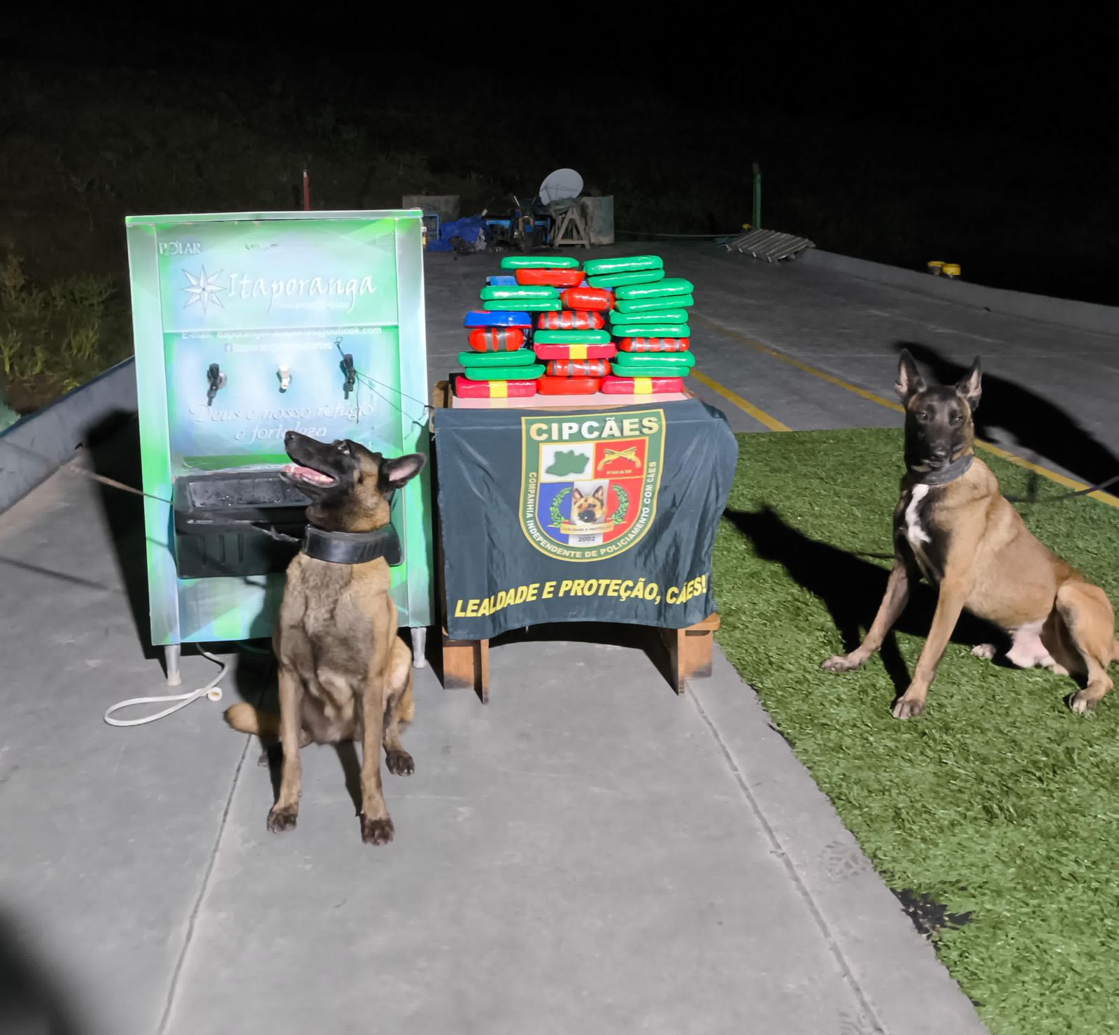 Cão policial encontra 23 quilos de cocaína em bebedouro de embarcação em Coari