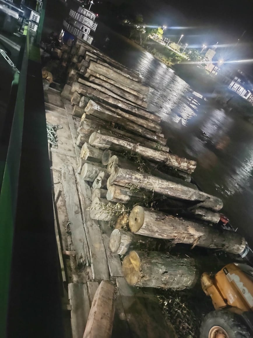 Espingarda e rifle são apreendidos com homem que transportava madeira irregular no Amazonas