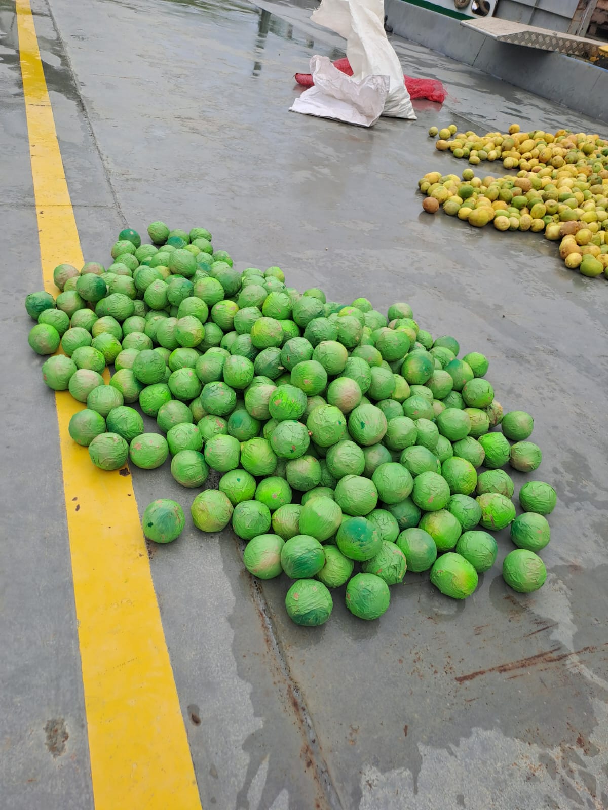 Cocaína em forma de limões avaliada em mais de R$ 2 milhões é apreendida em Coari