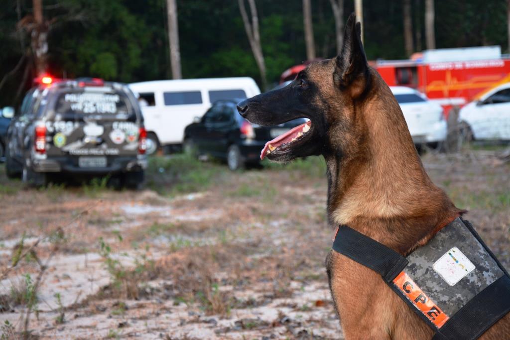 Mãe acobertava estupro de filha de 10 anos pelo padrasto; casal é preso no Amazonas