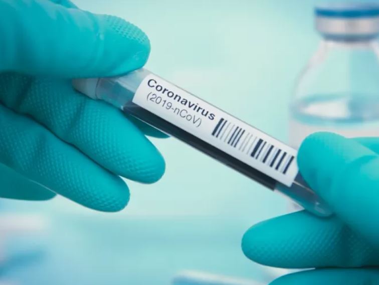 Covid: Pesquisa do Ministério da Saúde vai testar anticorpos de brasileiros