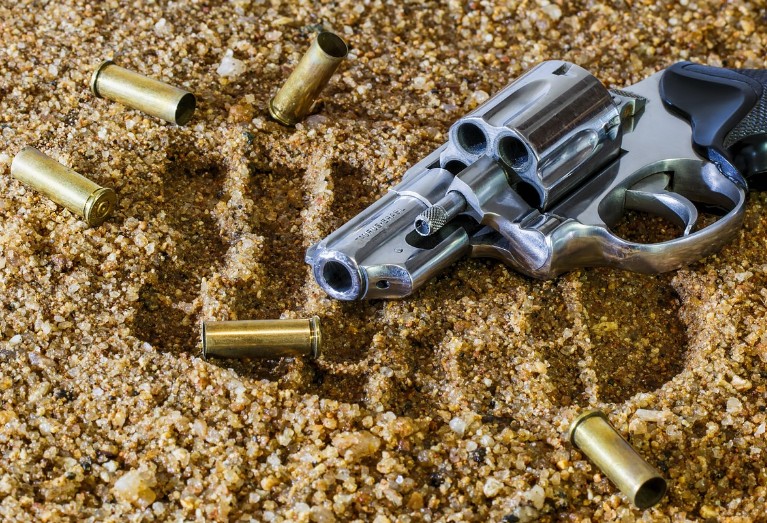 Homem é morto pela polícia ao reagir a cumprimento de mandado de prisão no Terra Nova 