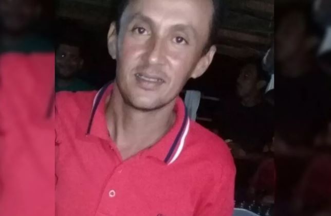 Tratorista morre após levar mais de 300 picadas de abelha