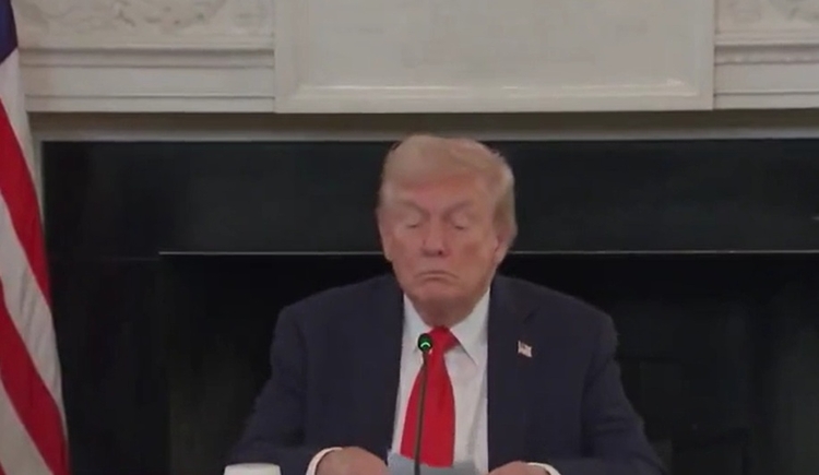 "Parem com a matança", diz Trump a líderes de Rússia e Ucrânia