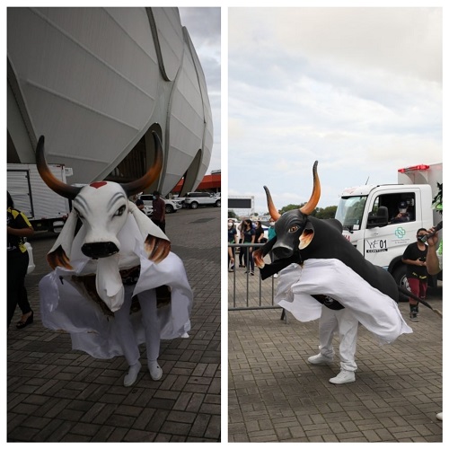 Garantido e Caprichoso são atrações no viradão da vacinação em Manaus