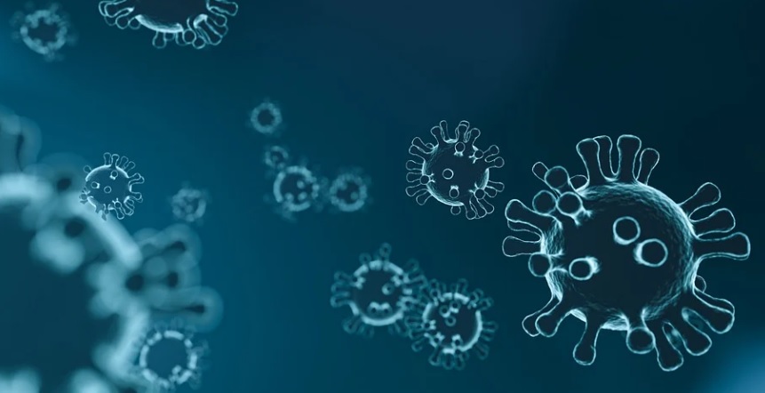 Estudo preliminar aponta que variante Ômicron pode causar mais reinfecções 