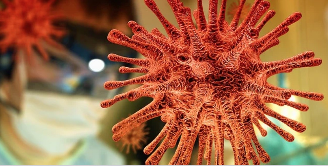 Antigas linhagens foram substituídas por cepas brasileira e britânica