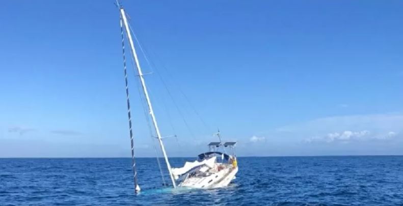 Orcas fazem barco naufragar em menos de 1 hora em Portugal