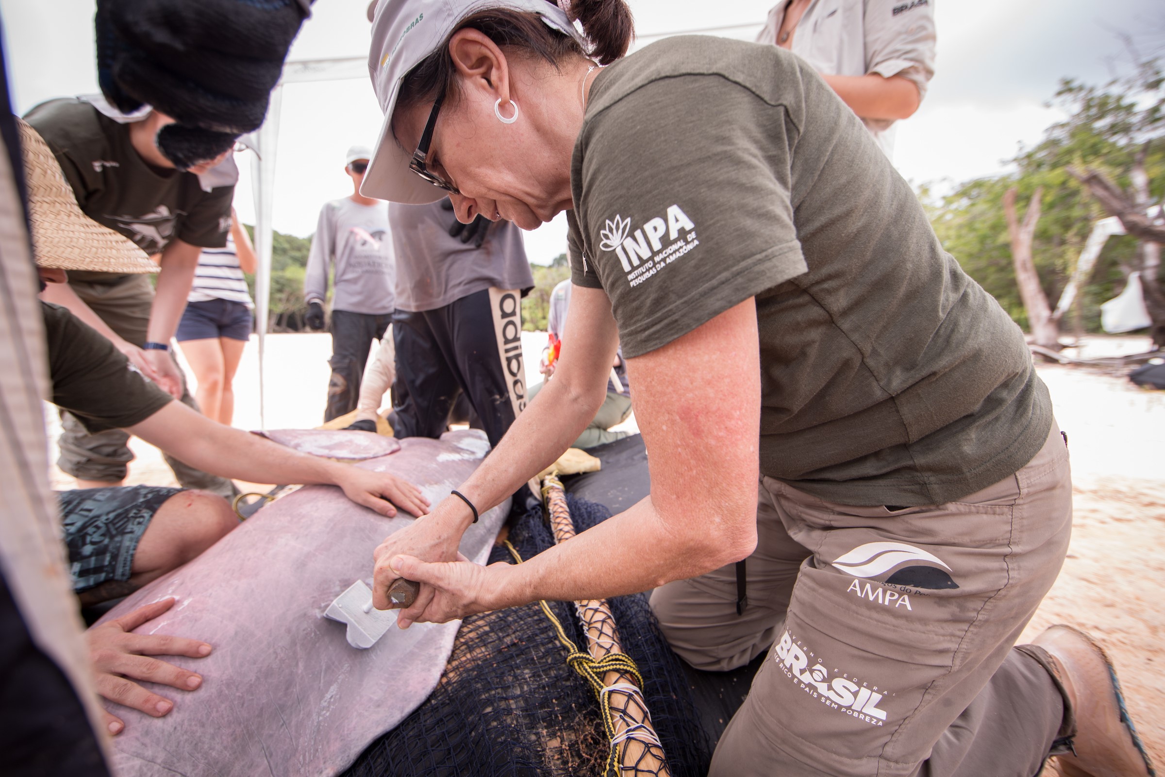  Inpa abre 14 vagas para bolsas de mestrado no Amazonas 