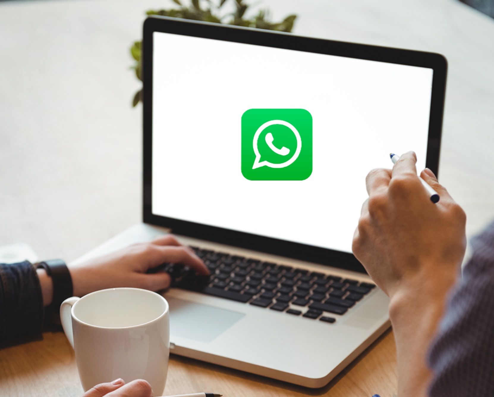 WhatsApp Web volta ao ar após apresentar instabilidade  