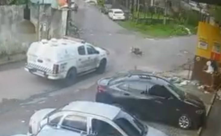 PMs que atropelaram e mataram cadelas no Novo Aleixo são afastados das funções 