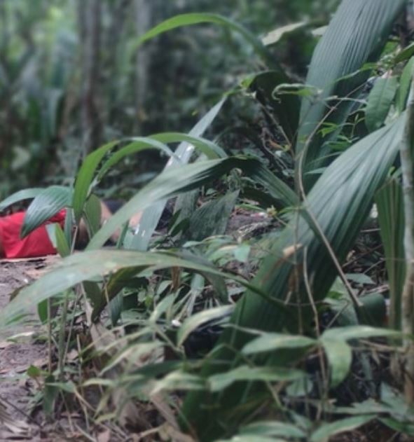 Suspeito de sequestrar e matar mulher a tiros em Manaus é preso