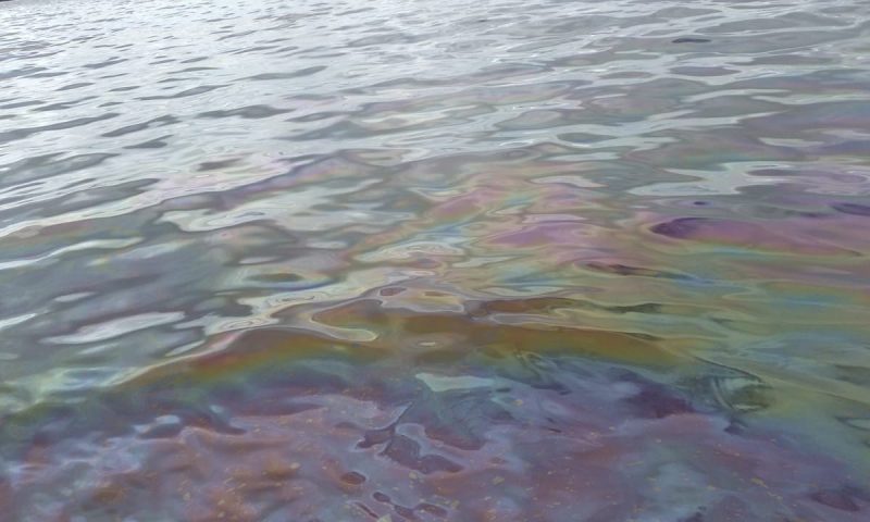 Manchas de óleo são encontradas no Rio Negro e na praia da Ponta Negra