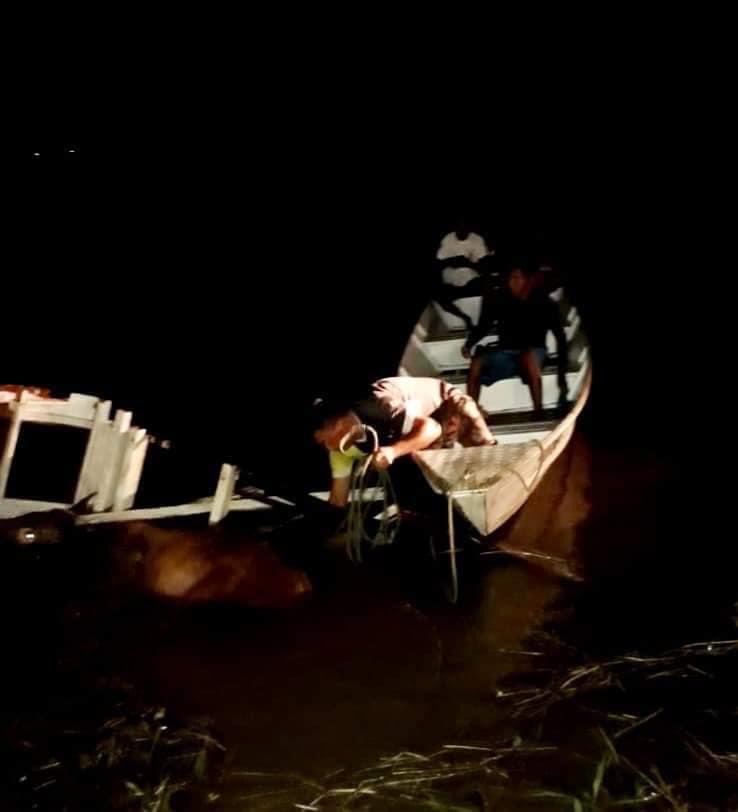 Ambulancha e barco colidem de frente em rio no Amazonas