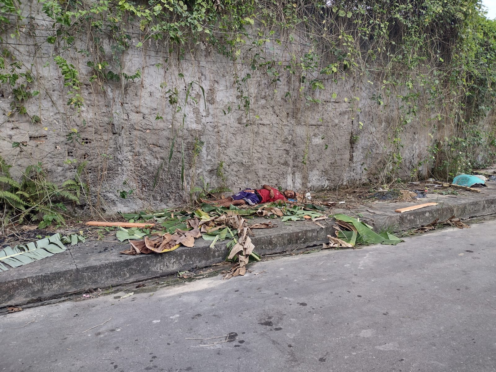 Moradores encontram homem morto a pauladas e tijoladas em Manaus