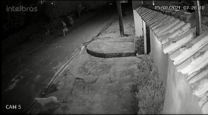 Detentos fizeram policial refém em fuga de delegacia no Iranduba; saiba quem são