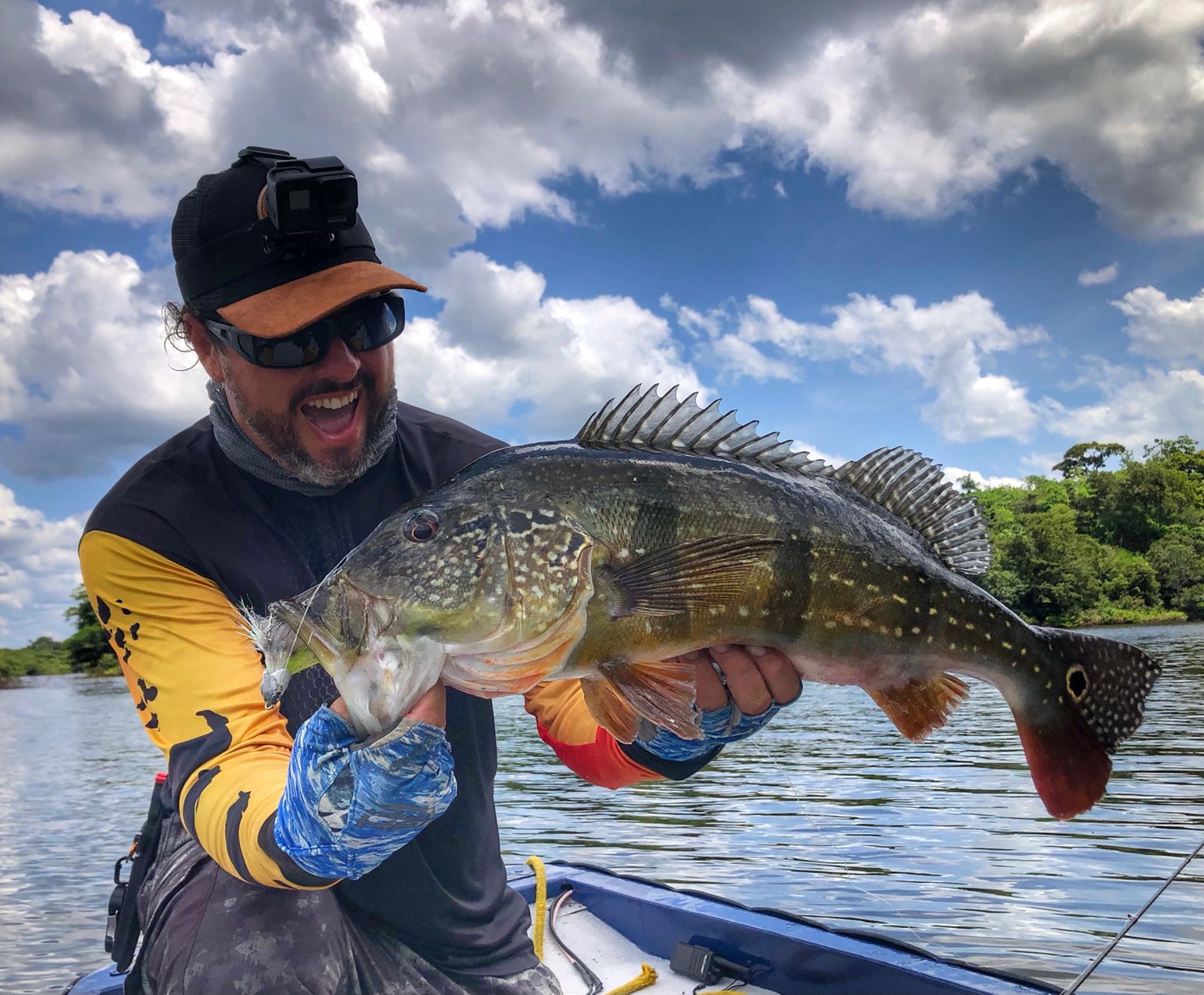 Tucunaré, o ouro renovável da Amazônia