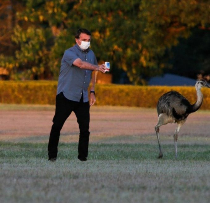 Em decreto, Bolsonaro concede a si mesmo a Medalha do Mérito Científico