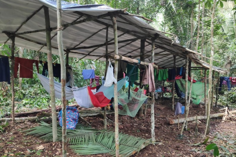 440 trabalhadores foram resgatados de trabalhos análogos à escravidão no Amazonas