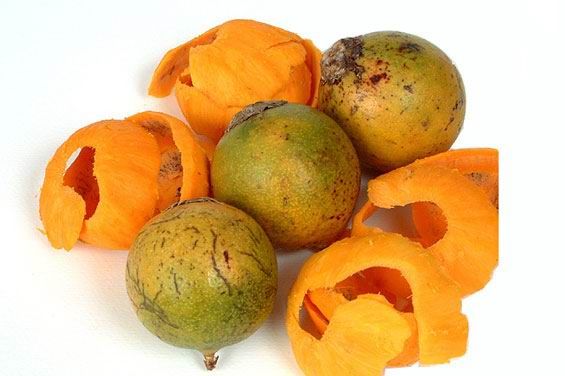 Estudo aponta que casca do tucumã pode inibir bactérias causadoras de infecções