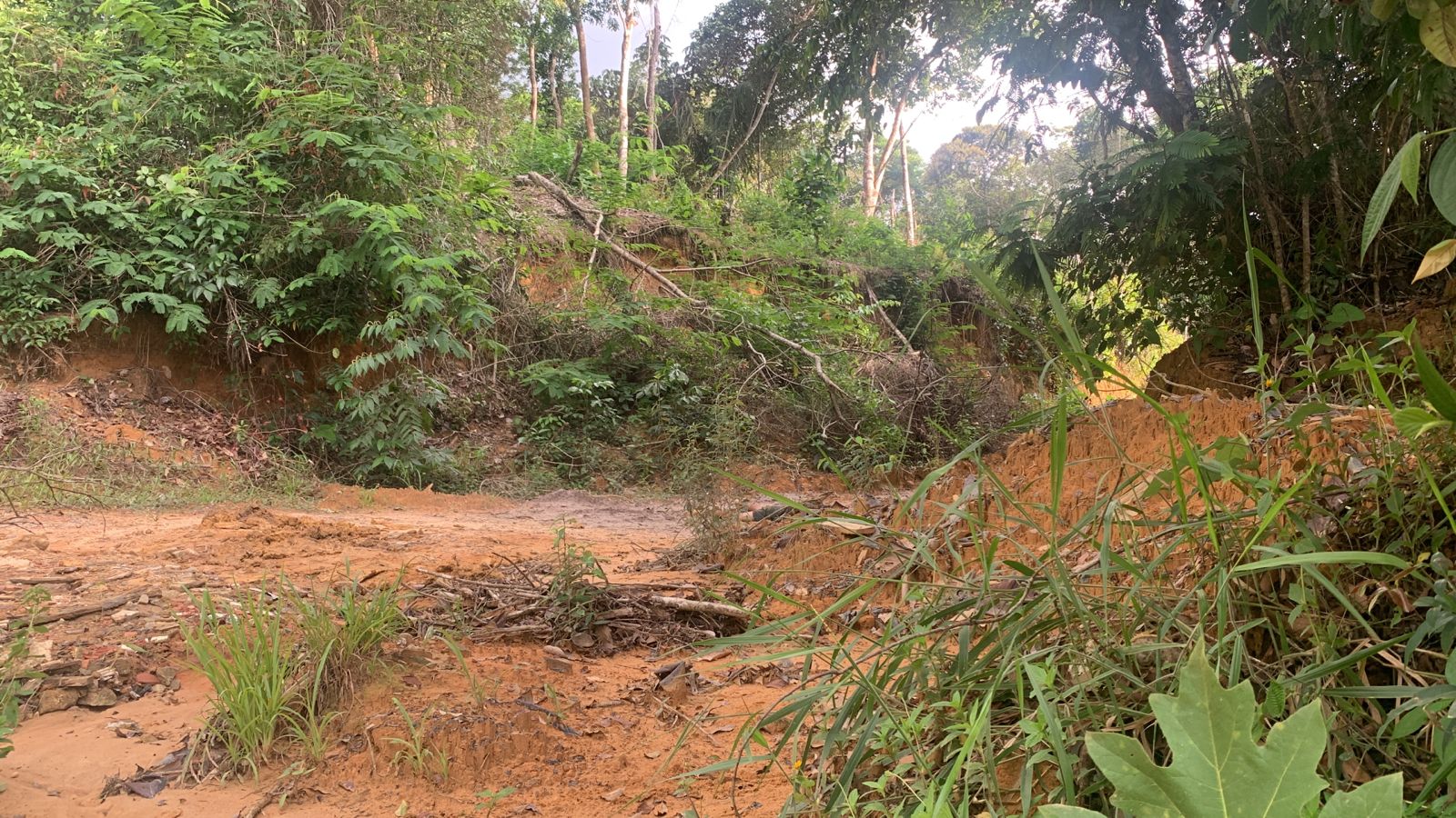 Funcionários de obra em Manaus encontram corpo de homem jogado em ramal