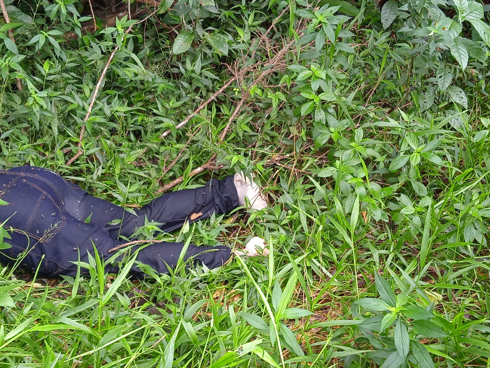 Moradores sentem odor forte e acham corpo de homem no meio do mato em Manaus