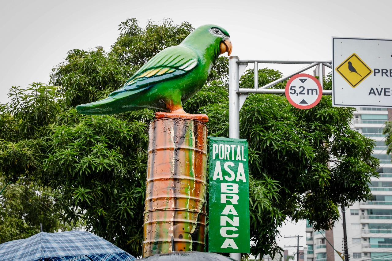 Totem de Periquito é inaugurado no V8 em Manaus para conscientizar condutores