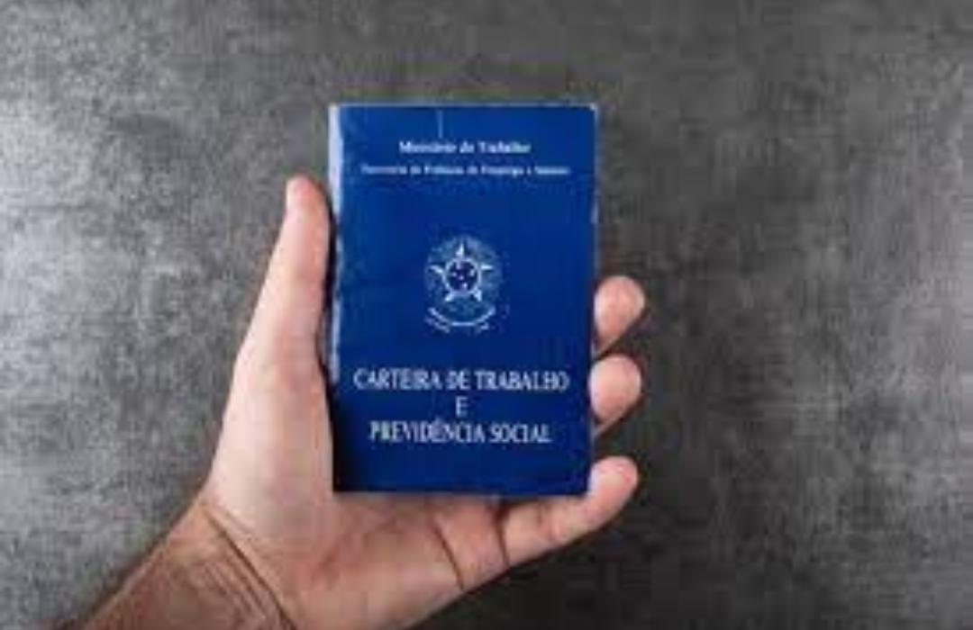 Mais de 35 mil postos de trabalho formais foram criados no Amazonas em 2021, diz MTP